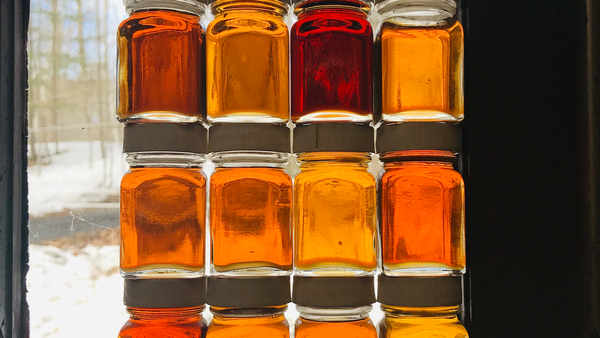 Glass Jars of Homemade Maple Syrup 